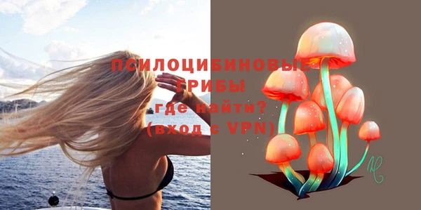 меф VHQ Дмитриев