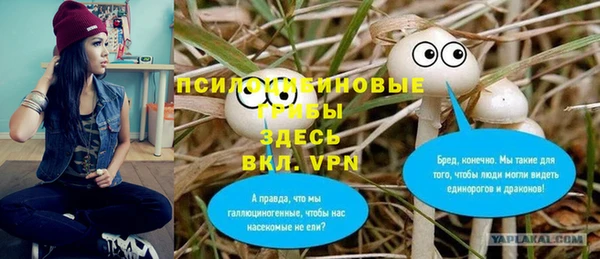 гидропоника Семёнов